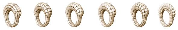 Ringe mit variierten Parametern
