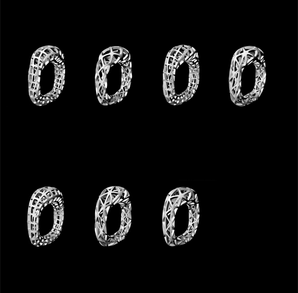 digital filigree - Net_Ring_Variations